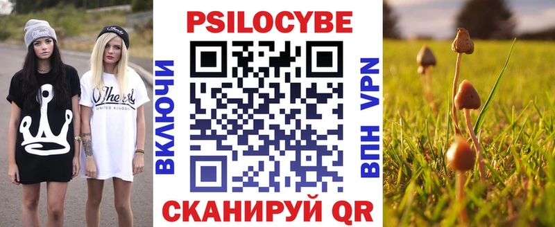 купить наркоту  МЕГА ССЫЛКА  Псилоцибиновые грибы Cubensis  Бирюч 
